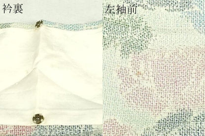 平和屋着物▽本塩沢　単衣　舞花文　正絹　逸品　DABG9769sf