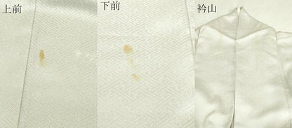 平和屋着物▽小紋　単衣　絵巻花文　交織　DABG9771sf