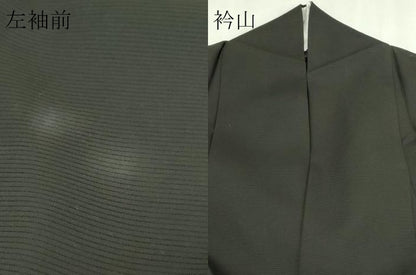 平和屋着物＊夏物　黒留袖　友禅　作家物　絽　飛鶴花文　正絹　逸品　DABG9801sf