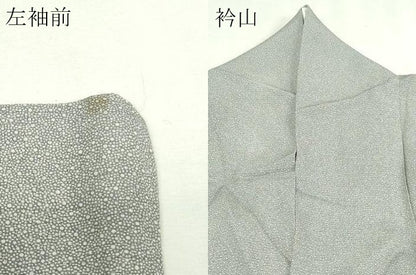 平和屋着物＊夏物　訪問着　絽　猫　正絹　逸品　DABG9817sf