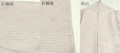 平和屋着物＊夏物　訪問着　手描き　枝葉文　カエル  紋紗　金彩　正絹　逸品　DABG9822sf