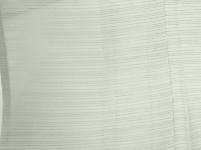 平和屋着物＊夏物　訪問着　変わり絽　友禅　草花文　正絹　逸品　DABG9832sf