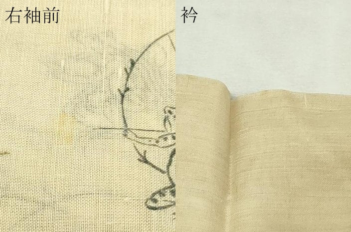 平和屋着物＊夏物　紗紬　鳥獣戯画　正絹　逸品　DABG9834sf