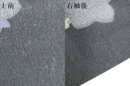 平和屋着物●訪問着　舞花　暈し染め　金銀彩　正絹　逸品　DABH0176op