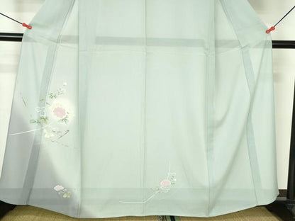 平和屋着物＊夏物　訪問着　絽　友禅　枝花　暈し染め　正絹　逸品　DABH0230op