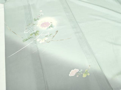 平和屋着物＊夏物　訪問着　絽　友禅　枝花　暈し染め　正絹　逸品　DABH0230op