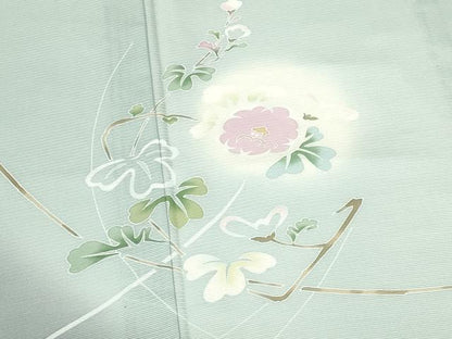 平和屋着物＊夏物　訪問着　絽　友禅　枝花　暈し染め　正絹　逸品　DABH0230op