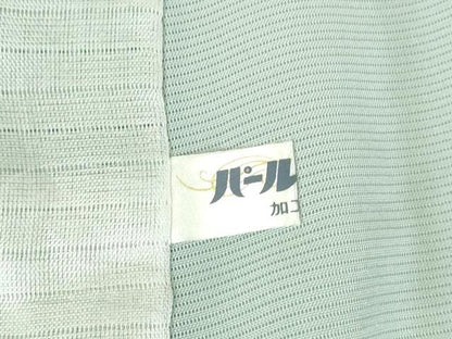 平和屋着物＊夏物　訪問着　絽　友禅　枝花　暈し染め　正絹　逸品　DABH0230op