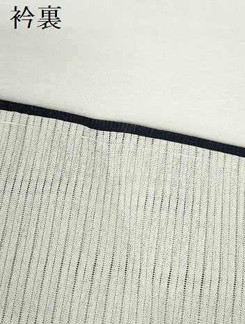平和屋着物＊夏物　色無地　霞紋紗　濃藍色　正絹　逸品　DABH0239op