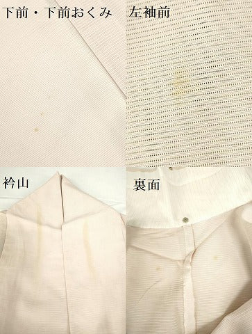 平和屋着物＊夏物　訪問着　絽　友禅　草花　正絹　逸品　DABH0240op
