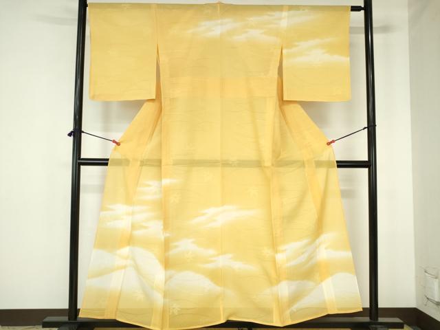 平和屋着物＊夏物　訪問着　芝楓紋紗　暈し染め　正絹　逸品　DABH0251op