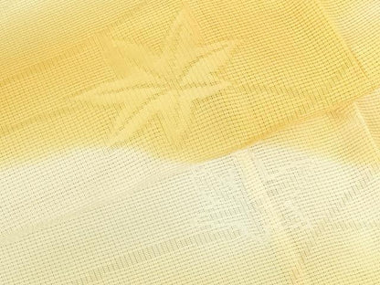 平和屋着物＊夏物　訪問着　芝楓紋紗　暈し染め　正絹　逸品　DABH0251op