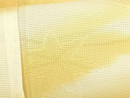 平和屋着物＊夏物　訪問着　芝楓紋紗　暈し染め　正絹　逸品　DABH0251op