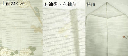 平和屋着物＊夏物　訪問着　変わり絽　友禅　童子遊び　草花文　暈し染め　鈴乃屋扱い　正絹　逸品　DABH0256op