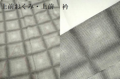 平和屋着物＊夏物　小紋　絽　格子　やまと誂製　正絹　逸品　DABH0263op