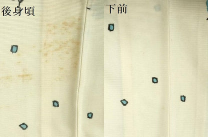 平和屋着物＊夏物　小紋　絽　舞花　正絹　逸品　DABH0296op