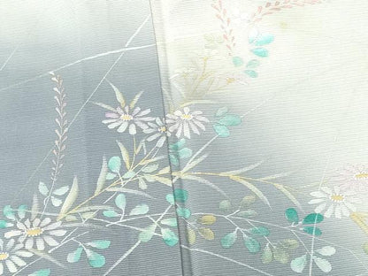 平和屋着物＊夏物　訪問着　絽　手描き　草花　暈し染め　金銀彩　正絹　逸品　DABH0297op