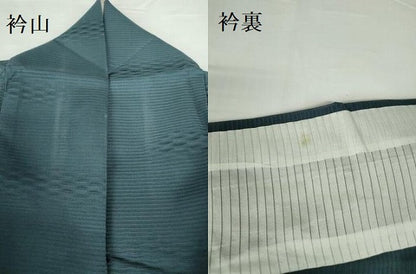 平和屋着物＊夏物　訪問着　刺繍　紋紗　草花　シルエット　金彩　正絹　逸品　DABH0308op