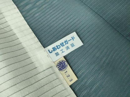 平和屋着物＊夏物　訪問着　刺繍　紋紗　草花　シルエット　金彩　正絹　逸品　DABH0308op