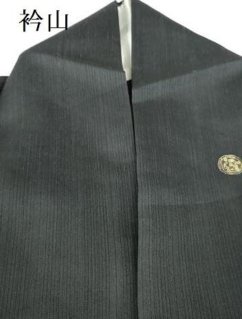 平和屋着物＊夏物　紗紬　訪問着　花丸文　黒地　金彩　正絹　逸品　DABH0312op