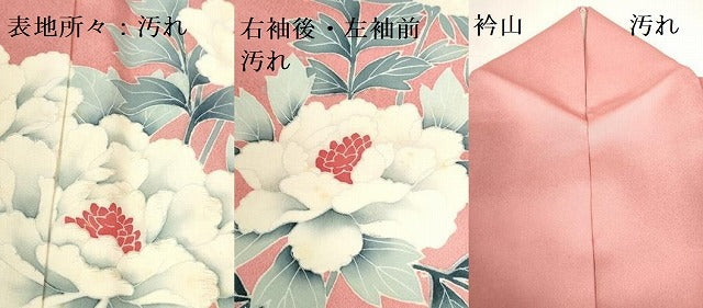 平和屋着物■訪問着　刺繍　牡丹　正絹　逸品　DABH0505op