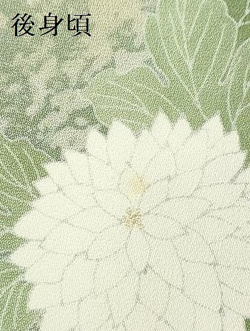 平和屋着物●訪問着　刺繍　菊　暈し染め　金彩　正絹　逸品　DABH0587op