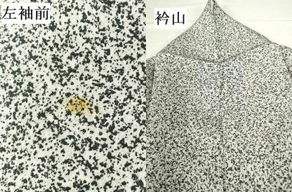 平和屋着物●訪問着　草花　たたき染め　金彩　正絹　逸品　DABH0694op