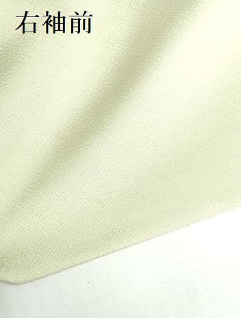 平和屋着物●訪問着　総刺繍　風景花文　暈し染　金糸　正絹　逸品　未使用　DABH0723op