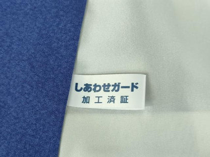 平和屋着物●訪問着　草花　金彩　正絹　逸品　DABH0756op