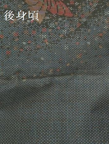 平和屋着物●本場大島紬　7マルキ　舞蝶文　正絹　逸品　DABH0800op