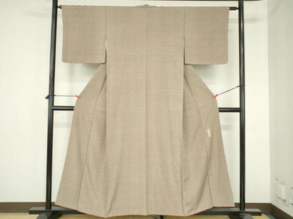 平和屋着物●江戸小紋　絵紗小紋　亀甲文　正絹　逸品　DABH0808op