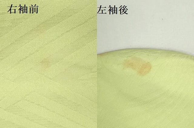 平和屋着物●豪華振袖　鳳凰桐花菱地紋　若苗色　正絹　逸品　DABH0841op