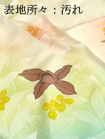 平和屋着物■訪問着　草花文　蘭　暈し染め　正絹　逸品　DABH1009qa
