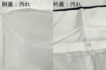 平和屋着物■上質な紬　有栖川文様　正絹　逸品　DABH1020qa