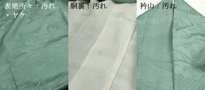 平和屋着物■上質な色無地　草花地紋　薄青色　正絹　逸品　DABH1028qa
