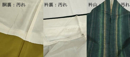 平和屋着物■上質な紬　間道　正絹　逸品　DABH1062qa