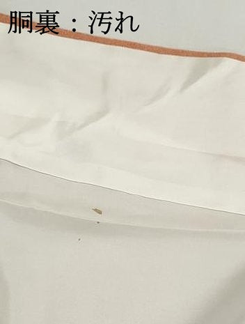 平和屋着物■江戸小紋　寺山存男　鮫小紋柄　正絹　逸品　DABH1070qa