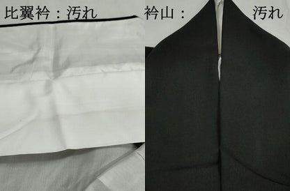 平和屋着物■豪華黒留袖　絵巻飛鶴花文　金彩　正絹　逸品　DABH1113qa