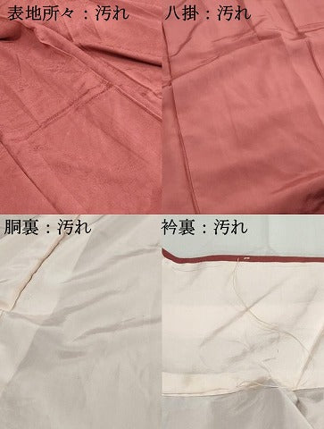 平和屋着物■上質な色無地　風景花地紋　蘇芳色　正絹　逸品　DABH1119qa