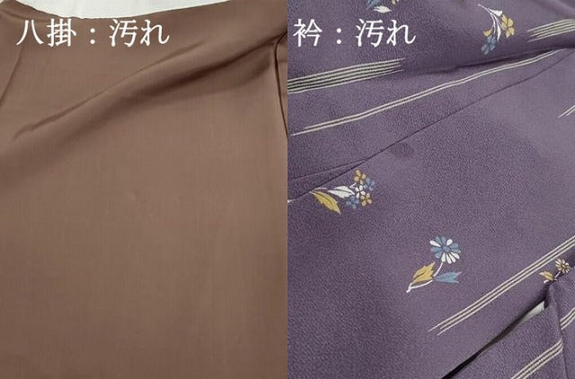 平和屋着物■上質な小紋　草花間道　正絹　逸品　DABH1196qa