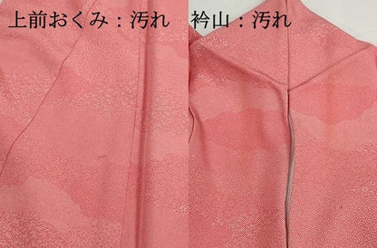 平和屋着物■江戸小紋　寄せ小紋柄　正絹　逸品　DABH1208qa