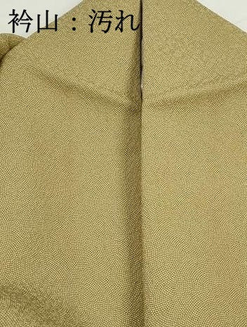 平和屋着物■江戸小紋　鮫小紋柄　正絹　逸品　DABH1256qa