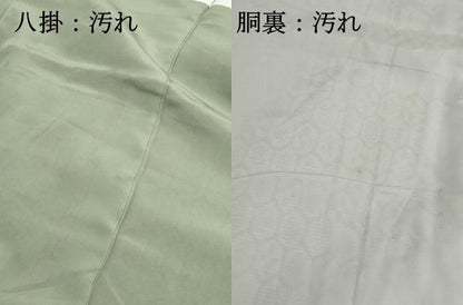 平和屋着物■上質な紬　亀甲花文　正絹　逸品　DABH1258qa