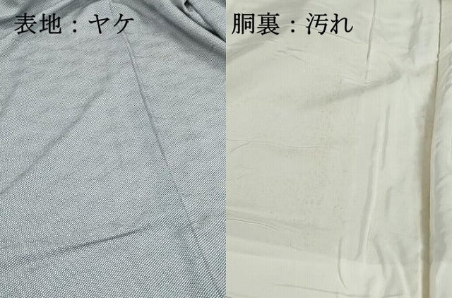 平和屋着物■江戸小紋　小花尽くし　正絹　逸品　DABH1298qa