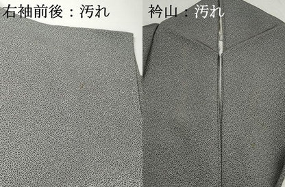 平和屋着物■江戸小紋　家内安全　正絹　逸品　DABH1343qa