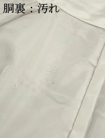 平和屋着物■上質な小紋　型染め　流水花鳥文　鬼しぼ縮緬　正絹　逸品　DABH1351qa