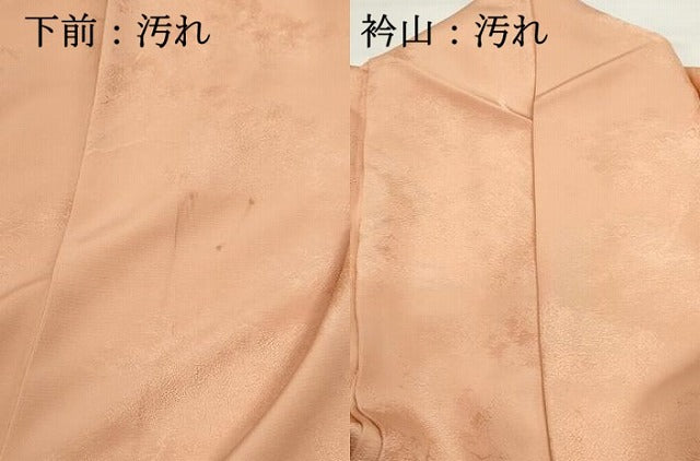 平和屋着物■上質な色無地　樹林地紋　洒落柿色　正絹　逸品　DABH1395qa