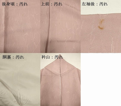 平和屋着物■上質な色無地　草葉地紋　虹色　正絹　逸品　DABH1596cd