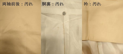 平和屋着物■訪問着　作家物　手描き　風景文　暈し染め　正絹　逸品　DABH1882cd