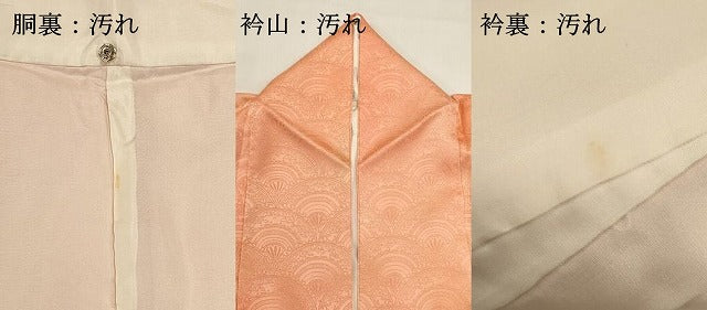 平和屋着物■上質な小紋　青海波花地紋　暈し染め　正絹　逸品　DABH1883cd